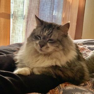 Meet your Posher, Claudette